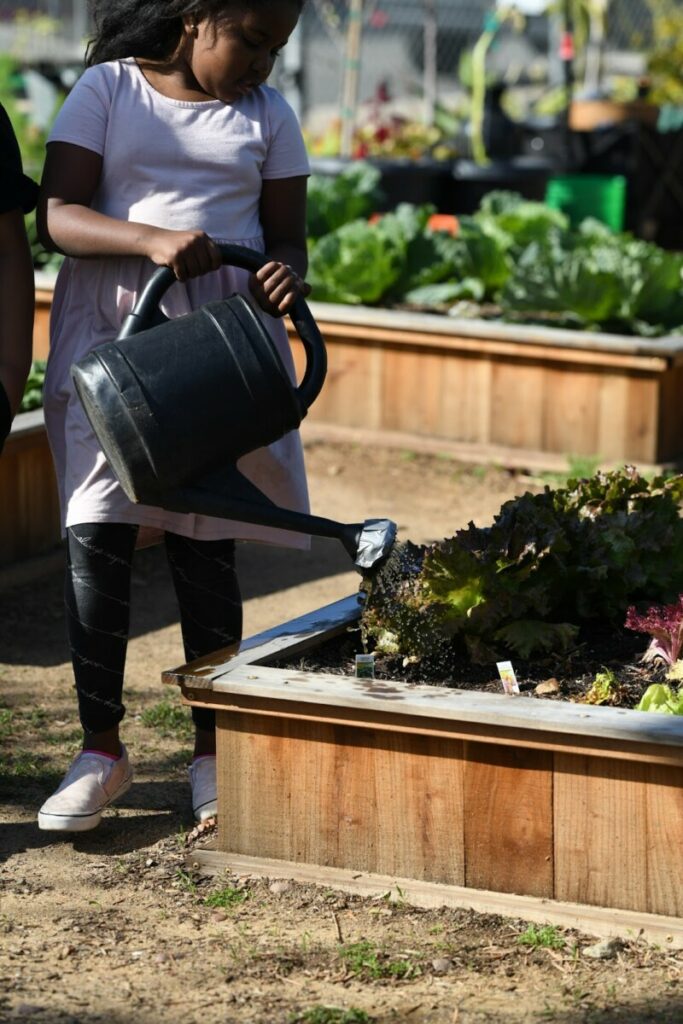 Student at San Diego Cooperative Charter School watering a vegetable garden with a watering can